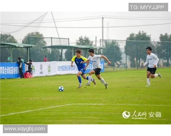 在绿茵场上追逐梦想与欲望的交织之旅黄色小说足球的激情与挑战